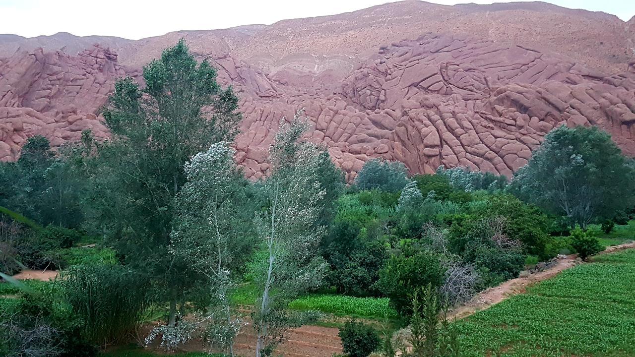 Auberge Kasbah Ait Marghad Tamellalt  Esterno foto