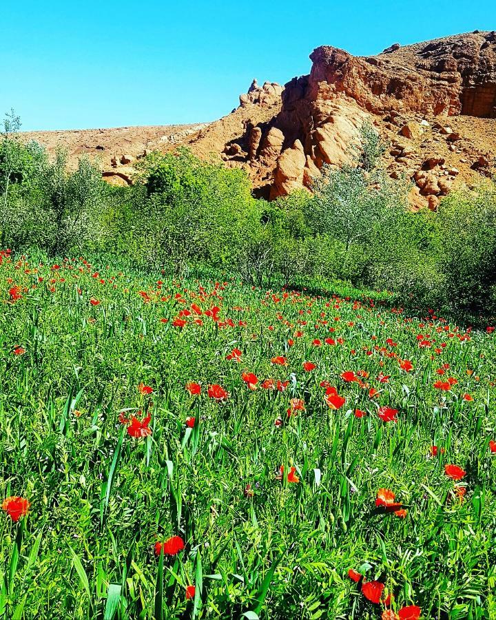 Auberge Kasbah Ait Marghad Tamellalt  Esterno foto